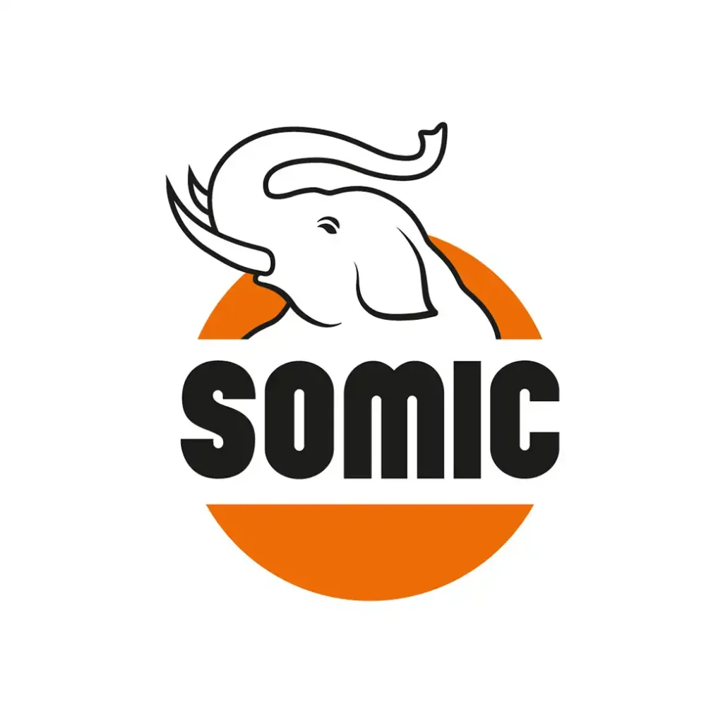 Somic copy